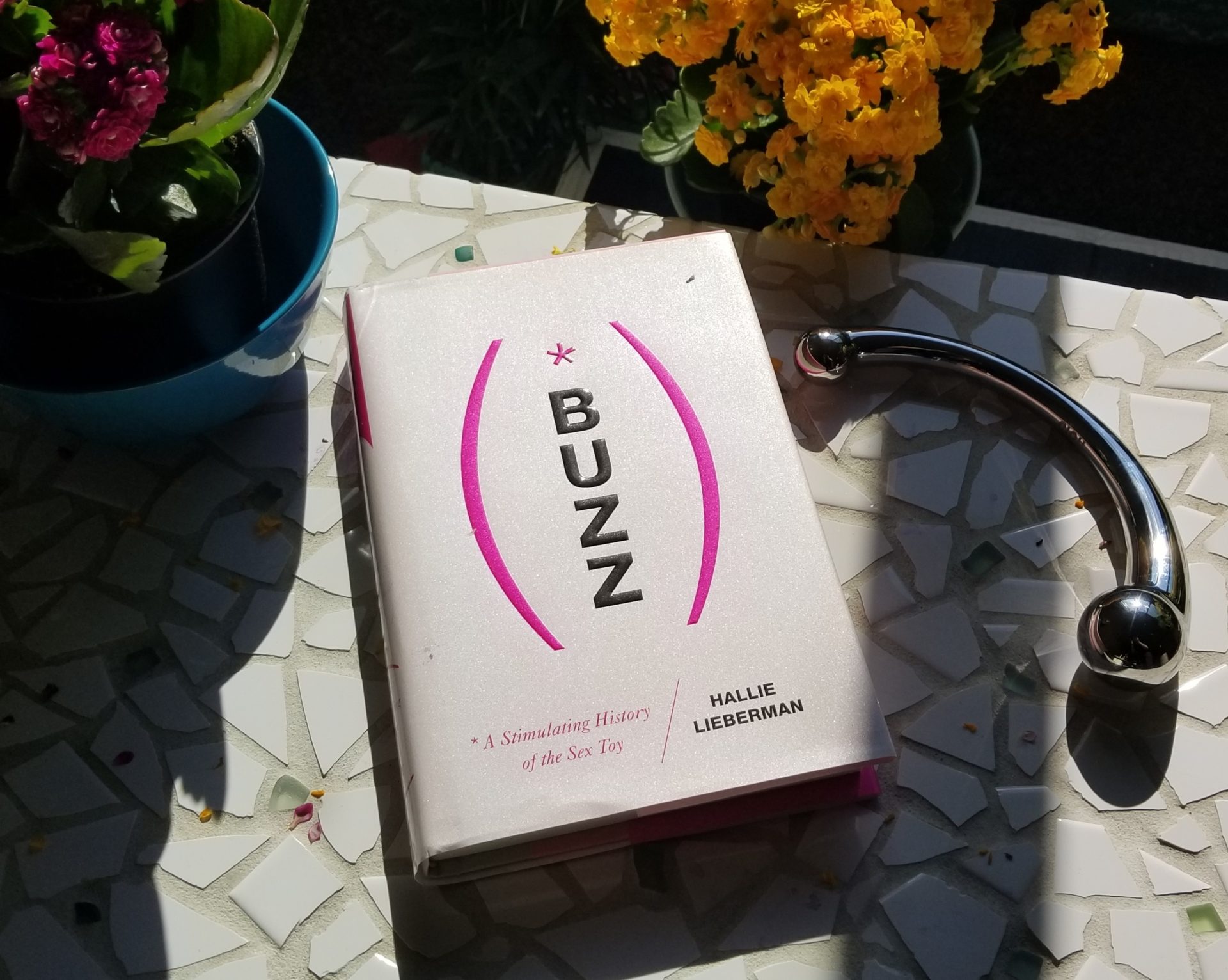 2457px x 1960px - Review of Buzz, A Stimulating Sex Toy History - Sex Toy ...