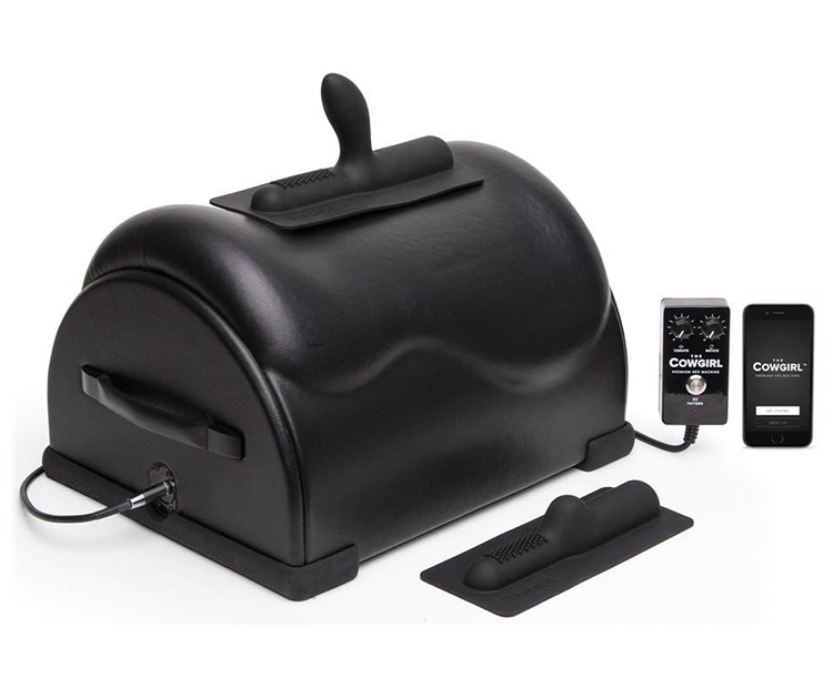 Sybian Forced - 6 Best Sybian Machines: Ultimate Guide to the Sybian and its Alternatives