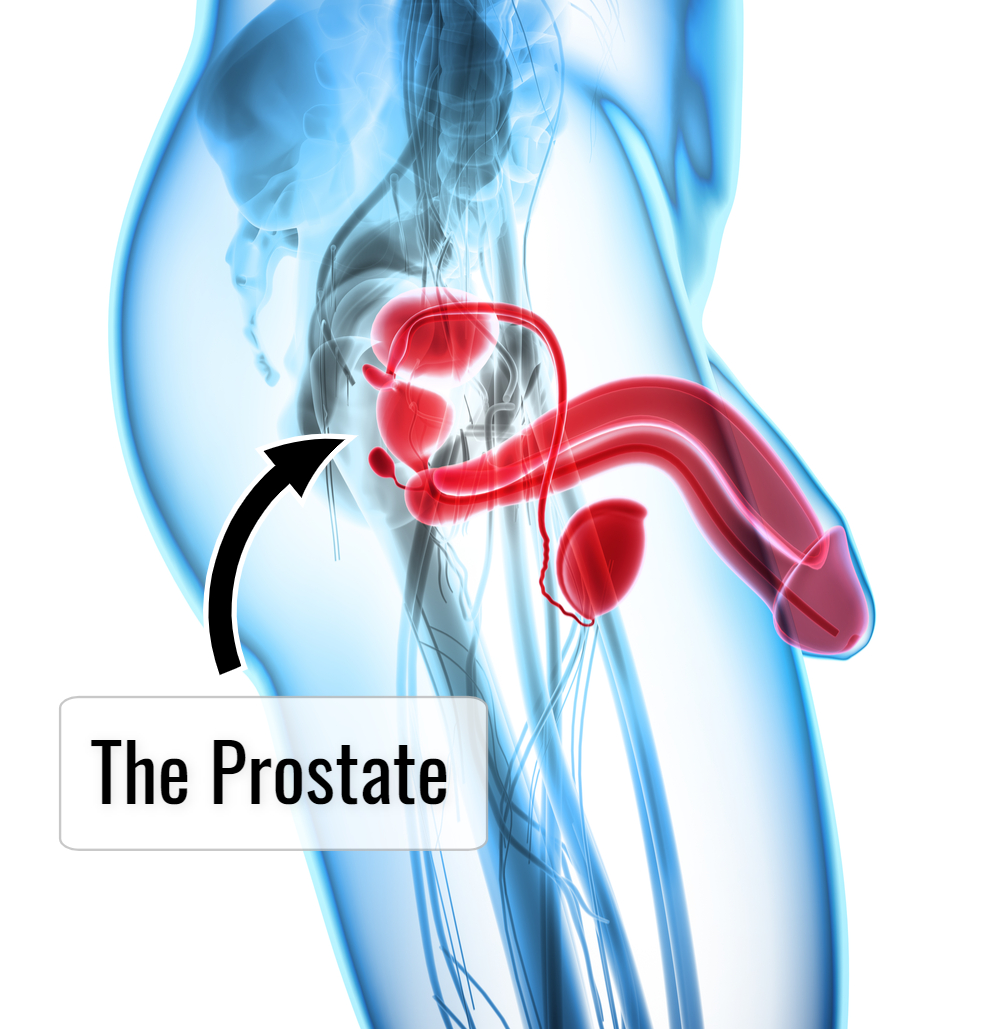 homemade sex toys for prostate milking