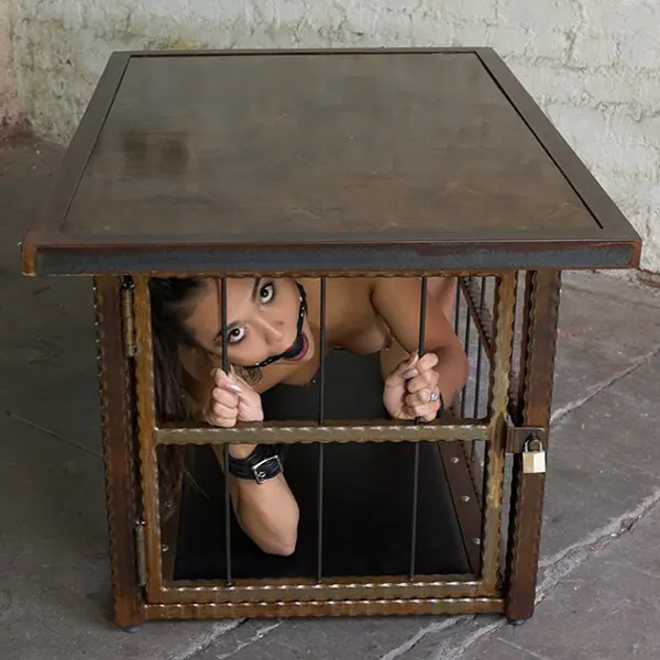 Coffee Table BDSM Cage